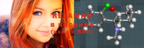 сатива Новодвинск