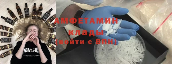 сатива Новодвинск
