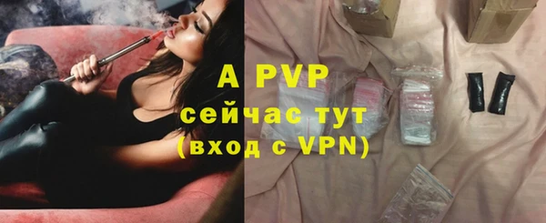 прущие грибы Новокубанск