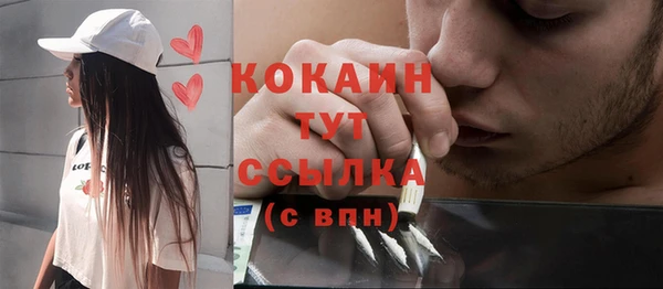 прущие грибы Новокубанск