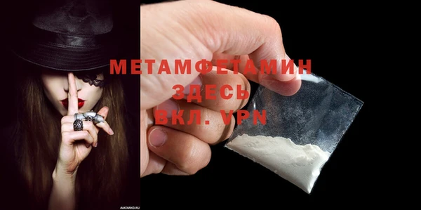 сатива Новодвинск
