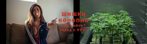 сатива Новодвинск