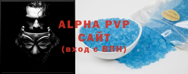 сатива Новодвинск