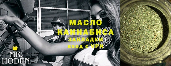 сатива Новодвинск
