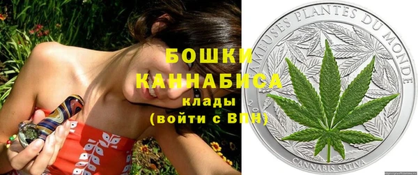 MESCALINE Новозыбков