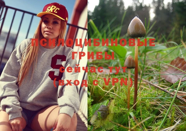 MESCALINE Новозыбков