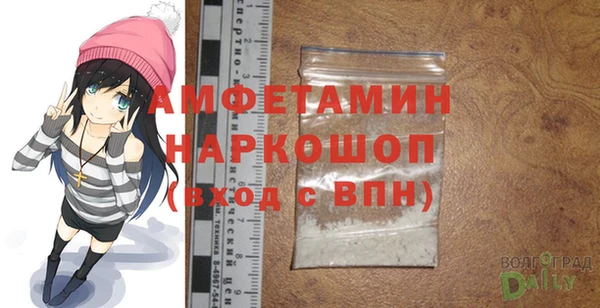сатива Новодвинск