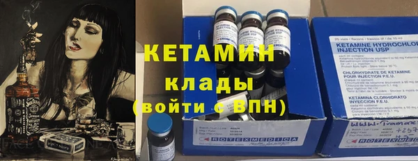 сатива Новодвинск