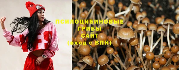 MESCALINE Новозыбков