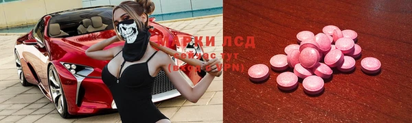прущие грибы Новокубанск